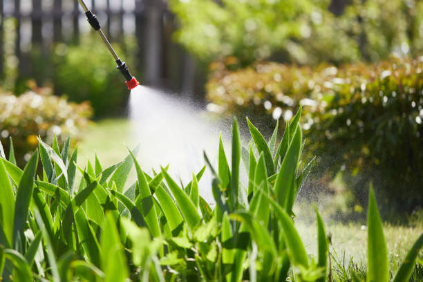 24/7 Emergency Mosquito Control experts in East Rockaway, NY